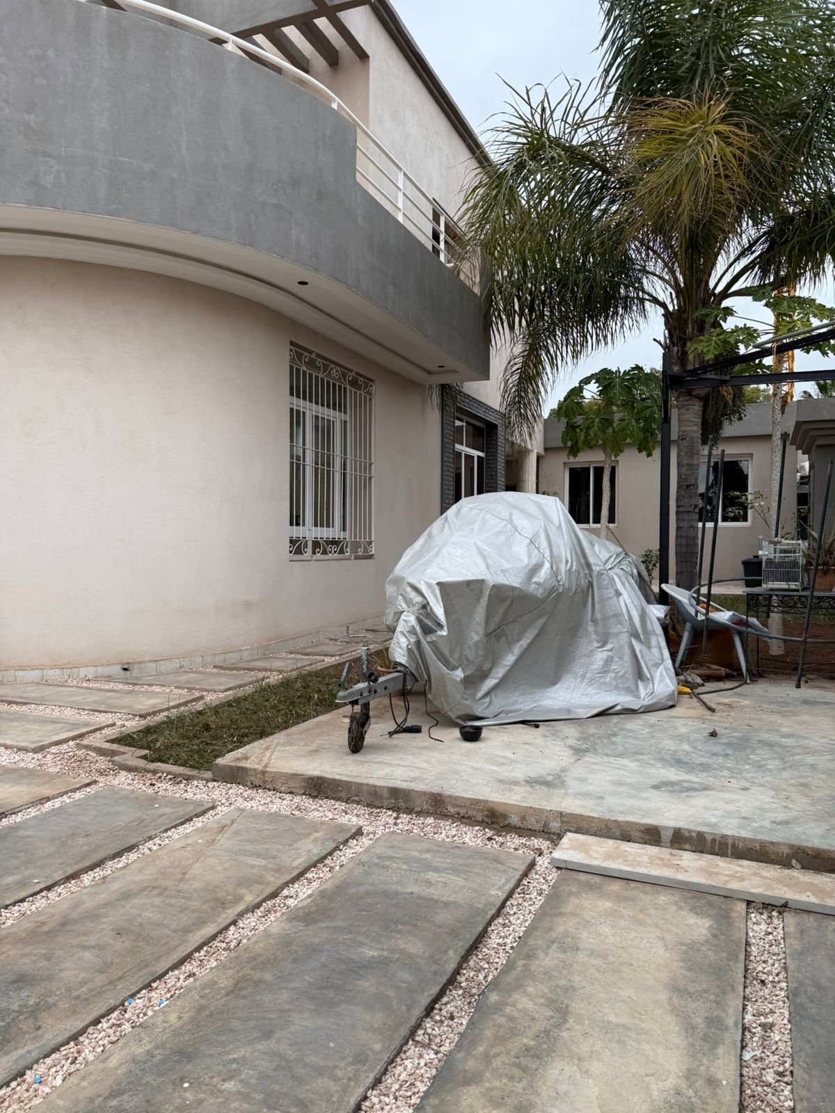 WhatsApp Image 2026-02-16 at 13.55.26